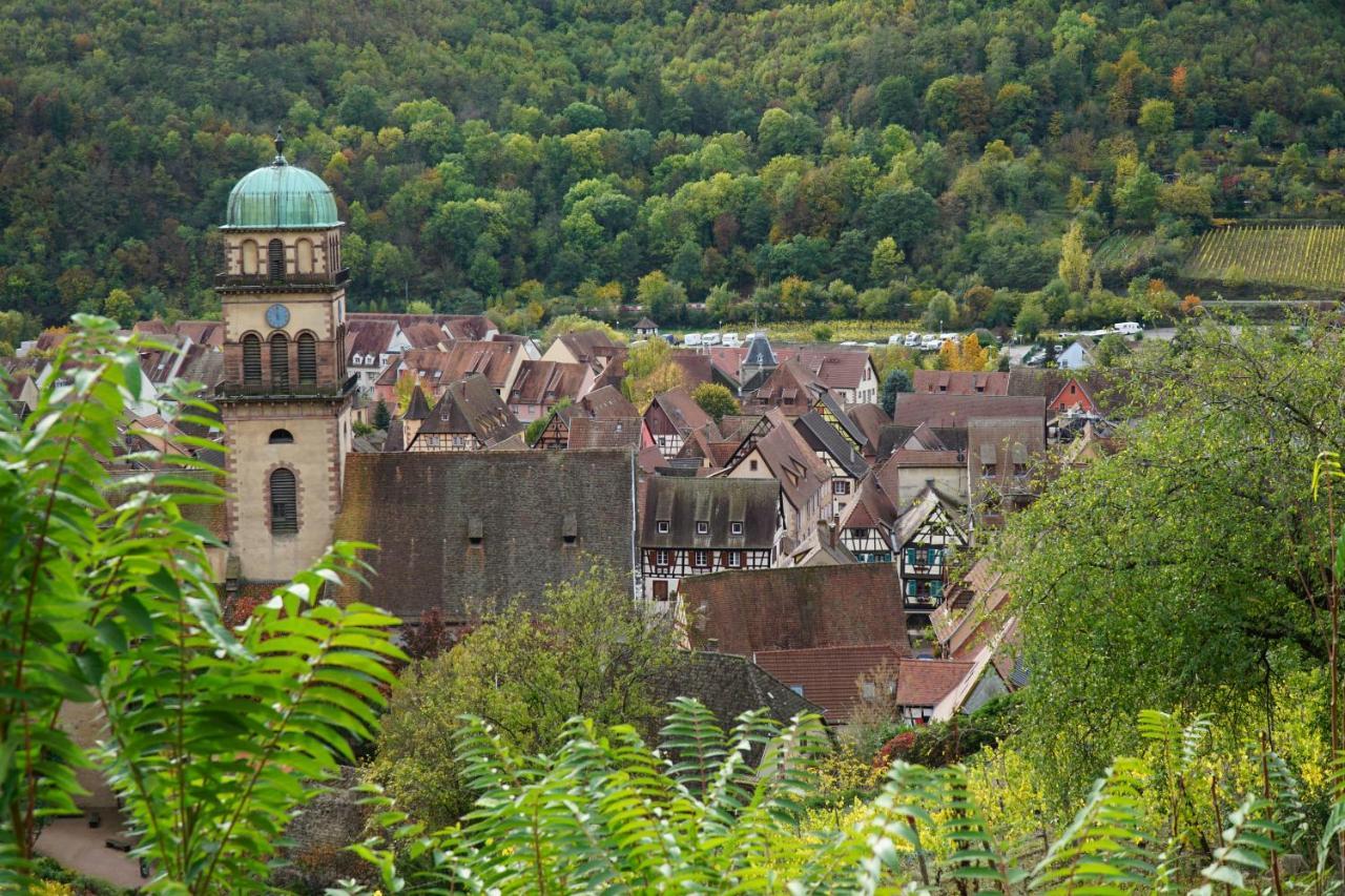Gite Du Xve Kaysersberg-Vignoble Eksteriør billede