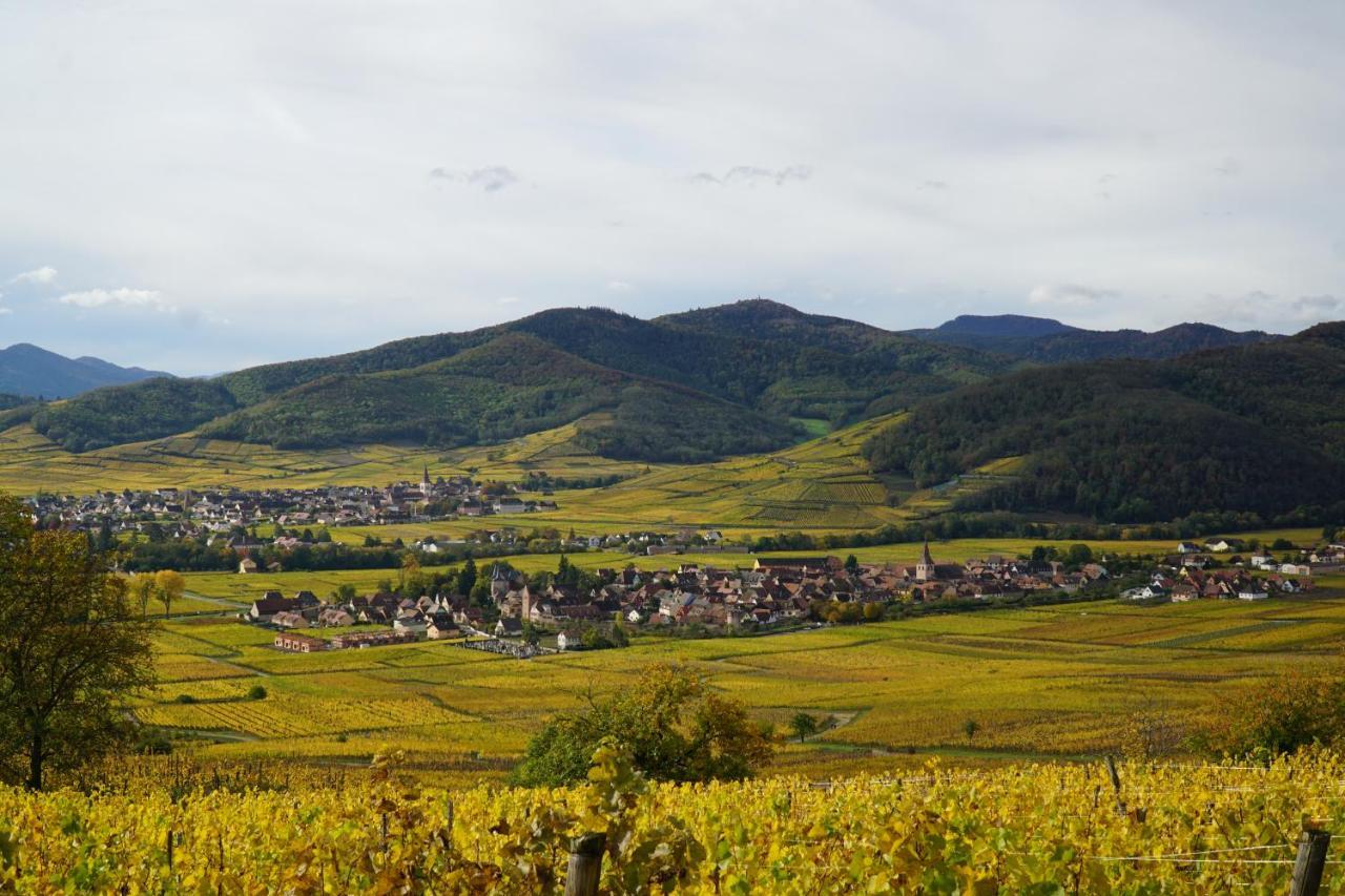 Gite Du Xve Kaysersberg-Vignoble Eksteriør billede